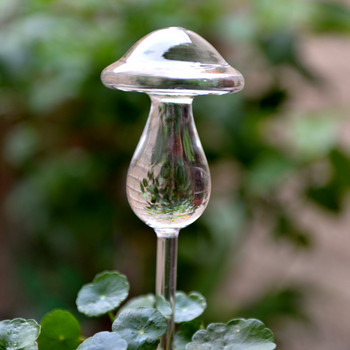 Protable Glass Plant Flowers Water Feeder Αυτοποτιστικό Πουλί Σχεδιασμός φυτών Ποτιστήριο 4 τύπων Διακοσμητικός σωλήνες νερού