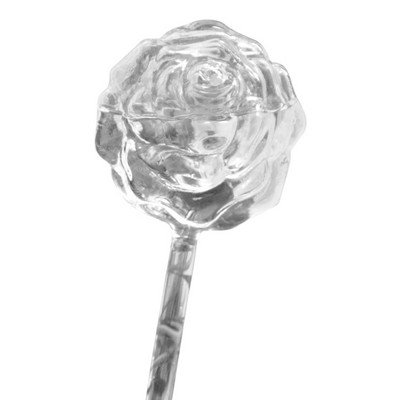 Protable Glass Plant Flowers Water Feeder Αυτοποτιστικό Πουλί Σχεδιασμός φυτών Ποτιστήριο 4 τύπων Διακοσμητικός σωλήνες νερού