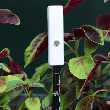 Тестер за влажност на почвата Добър електронен хигрометър за почвата Измервател за тестване на почвата Пластмасов измервател за влажност на почвата