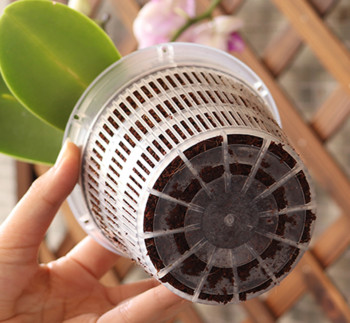 Διαφανής γλάστρα ελεγχόμενη από ρίζες για φύτευση ορχιδέας Cattleya με στοματία γλάστρα διακόσμηση σπιτιού πλαστική γλάστρα