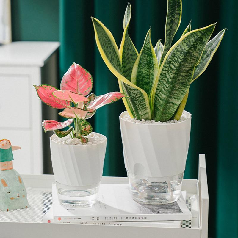 Önöntöző virágcserepek beltéri növényekhez. Cserépek beltéri növényekhez