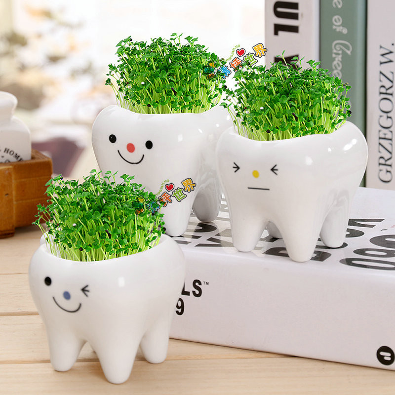 Aranyos fogas cserepes váza Kreatív kerámia rajzfilm fogas virágcserép zamatos virágcserép otthoni dekoráció kézműves fogászati klinika ajándékjáték