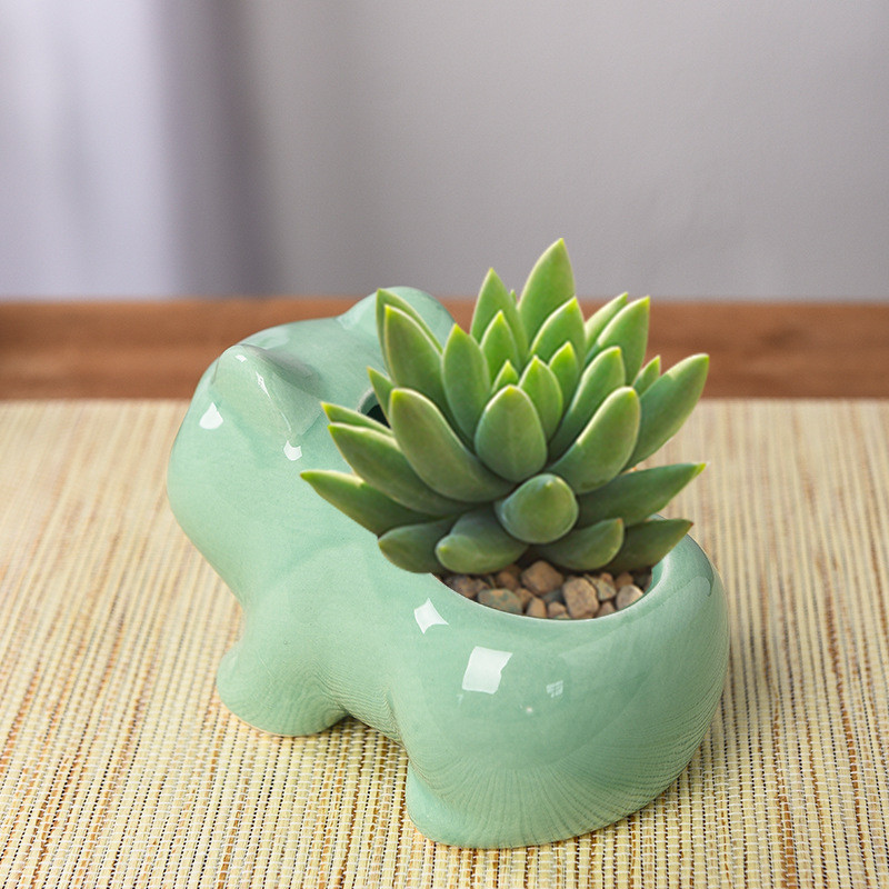 Kerti dekoráció Virágcserép ültető Bonsai Mini Kerámia Virágcserép Otthon Irodai Anime Bulbasaur zamatos növény kertészeti kellék