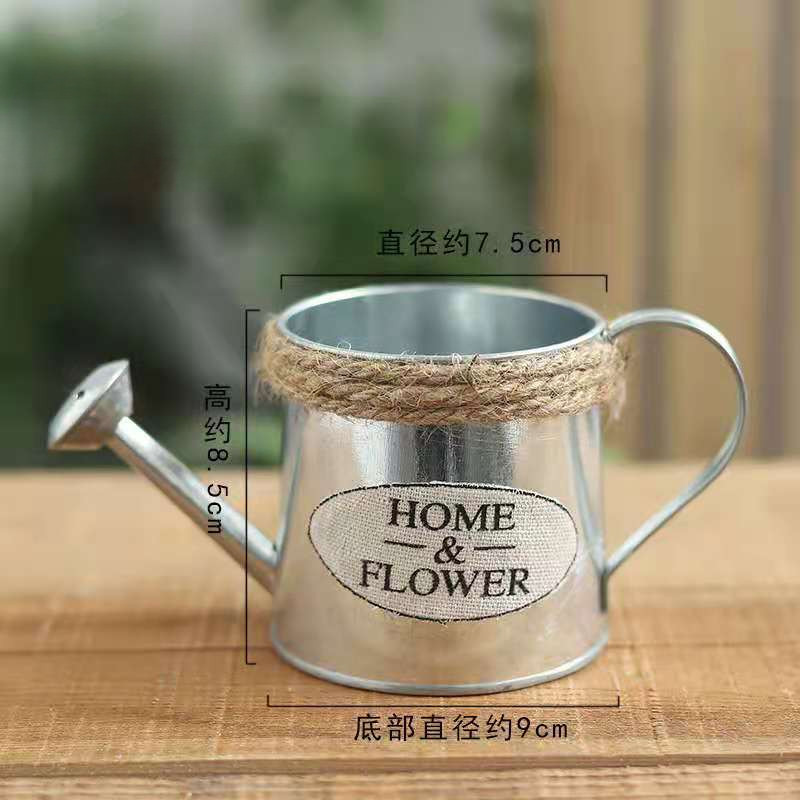 Kis méretű aranyos vintage vödör virágcserepes ültető Pozsgás növény virágcserepes otthoni kert dekoráció