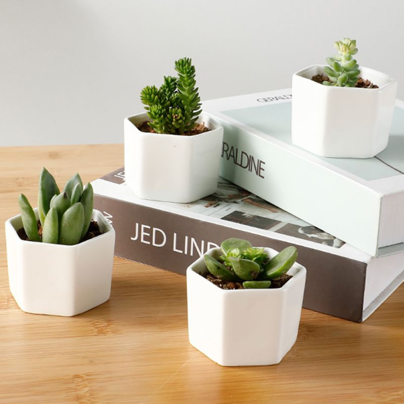 Kerámia virágcserép zamatos ültetőgép fehér hatszögletű virágcserepek kaktuszokhoz vízelvezető lyukkal és bambusz tálcával, kerti cserepekkel