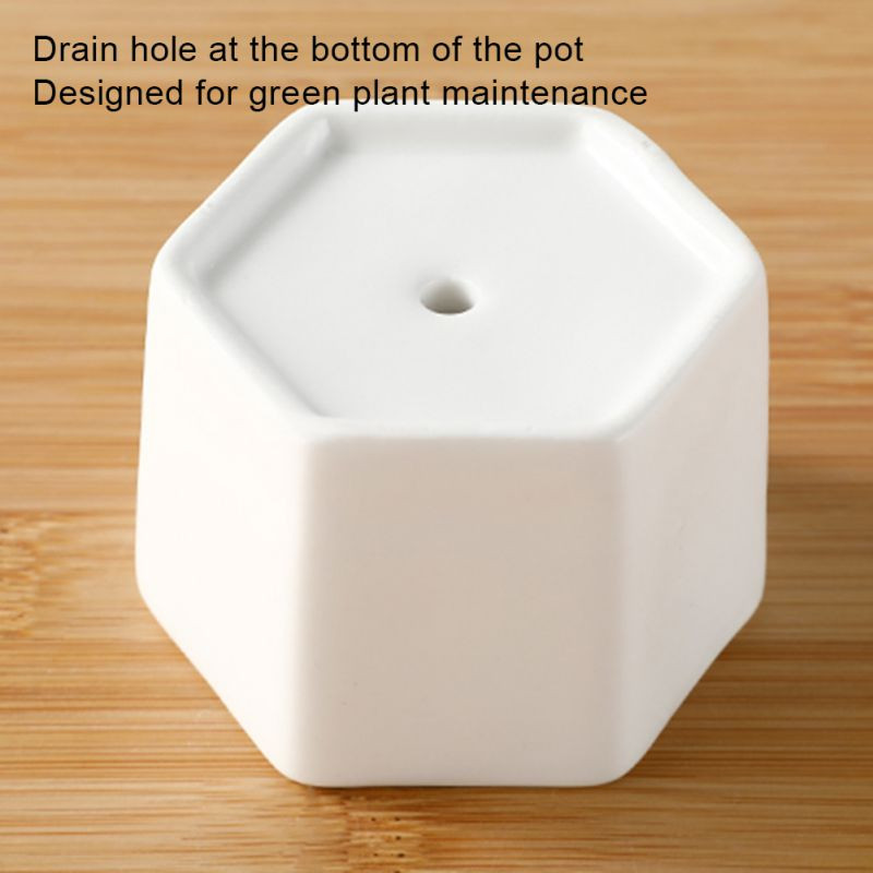 Kerámia virágcserép zamatos ültetőgép fehér hatszögletű virágcserepek kaktuszokhoz vízelvezető lyukkal és bambusz tálcával, kerti cserepekkel