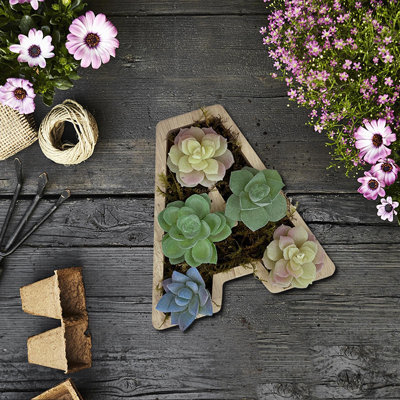 AZ Letters Shape Virágcserép Fa növény Virágcserepek Zamatos cserepes otthoni kerti dekoráció növényekhez