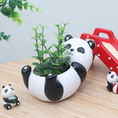 Μίνι χαριτωμένο Panda Desktop Succulent Plants Γλάστρα λουλουδιών για το σπίτι στον κήπο του τοπίου Διακόσμηση