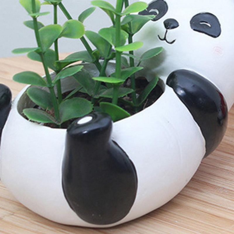 Mini aranyos Panda asztali zamatos növények virágcserepes otthoni kerti táj dekoráció