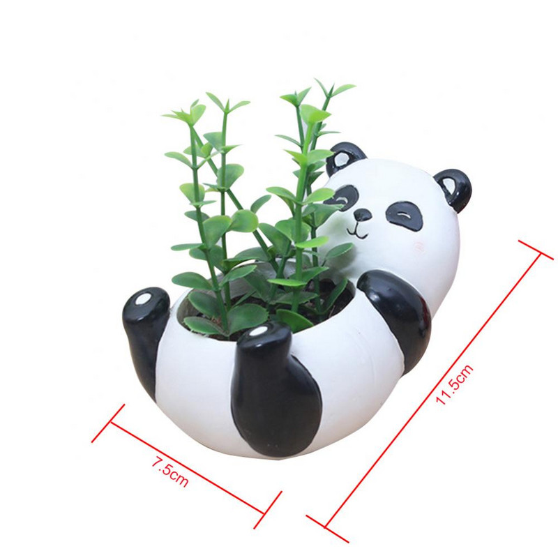Mini aranyos Panda asztali zamatos növények virágcserepes otthoni kerti táj dekoráció