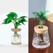 Átlátszó hidroponikus virágcserép utánzat üveg kis virágcserepek ültetése kis cserepes zöld növények Gyanta virágcserepek nagykereskedelme