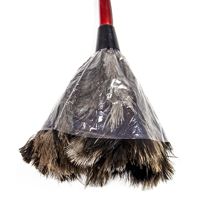 Sulgede tolmulapid Jaanalinnusuled Puidust käepidemega harjaga tolmulapp Tolmutarvikud Kodupuhastus Tolmutööriistad Plumad käsitööks