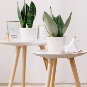 1 pc Nordic Minimalist Resin Desktop Σαρκώδης Χοντρό Πλαστικό Λευκό Ροζ Plue Κοστούμι λουλουδιών Γλάστρα σε γλάστρα Κεραμική αυτόνομη ζαρντινιέρα