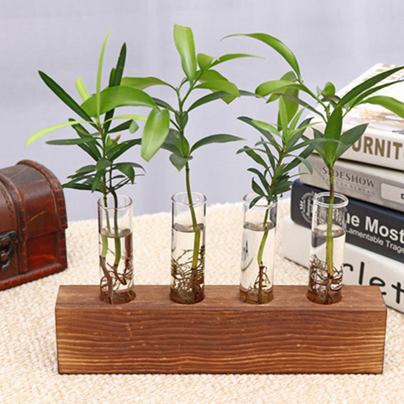 Augalų dauginimo stoties stovas, medinis stovas su mėgintuvėliu Stalinis hidroponikos terariumas 3/4 vamzdžių sodintuvo stiklinė vaza namams de