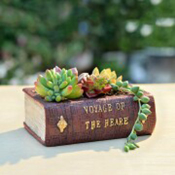 Retro Succulent Plant Pot Resin European style Literature Βιβλίο λουλουδιών Προσωποποιημένο Micro Landscape Craft Δώρο Διακόσμηση επιφάνειας εργασίας