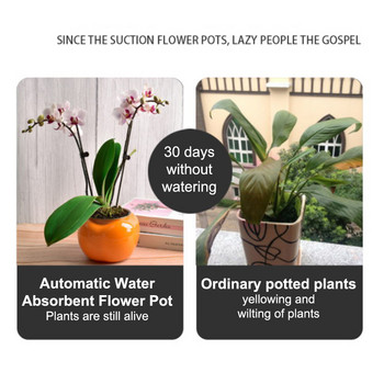 Hydroponic Automatic Water Absorption 2-layer Succulent Flower Pot Αυτοποτιζόμενη γλάστρα Hydroponic Lazy Flower Flower