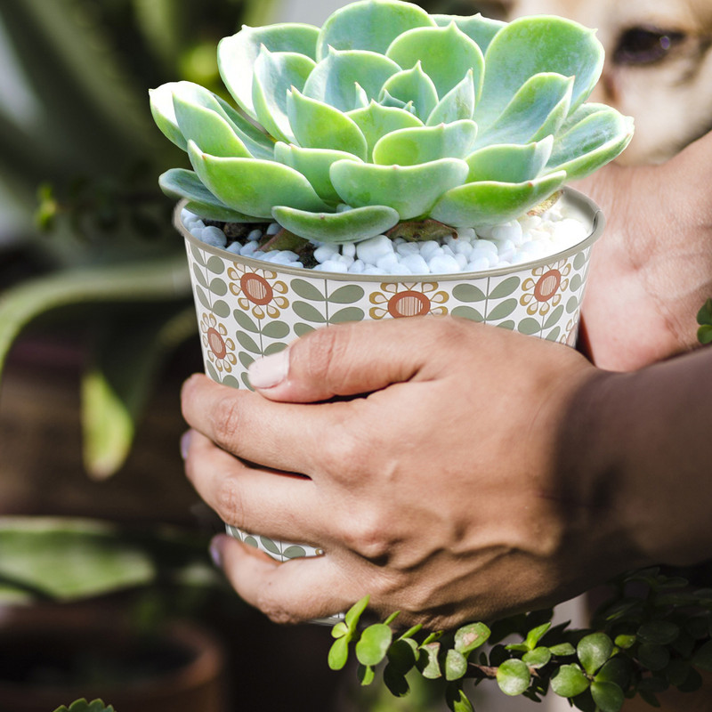 Mini fém virágcserepek napraforgó vödör kaktusz növénytartó edény erkélyre fedélzeti teraszra első veranda beltéri vagy kültéri tavaszi nyárra