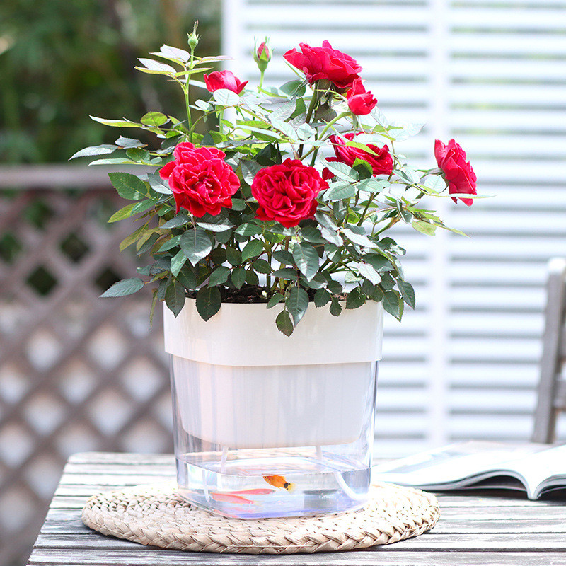 Lusta önöntöző virágcserép ültető cserepek Automatikus vízfelvevő zamatos akvakultúra műanyag hidroponikus virágcserepek