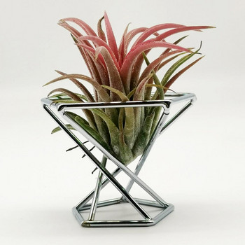 3Pcs Tillandsia Display Stand Πρακτική Beautify Airplant Container Pot Μεταλλική γλάστρα Airplant Container