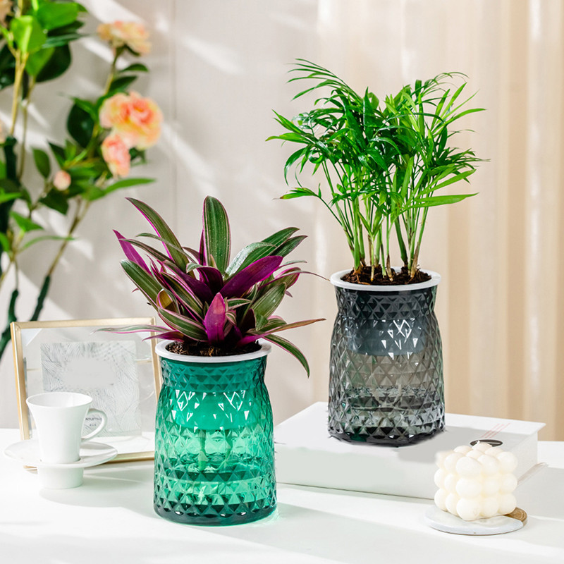 Lusta önöntöző virágcserép automatikus vízfelvevő zamatos akvakultúra átlátszó kerek műanyag hidroponikus virágcserép