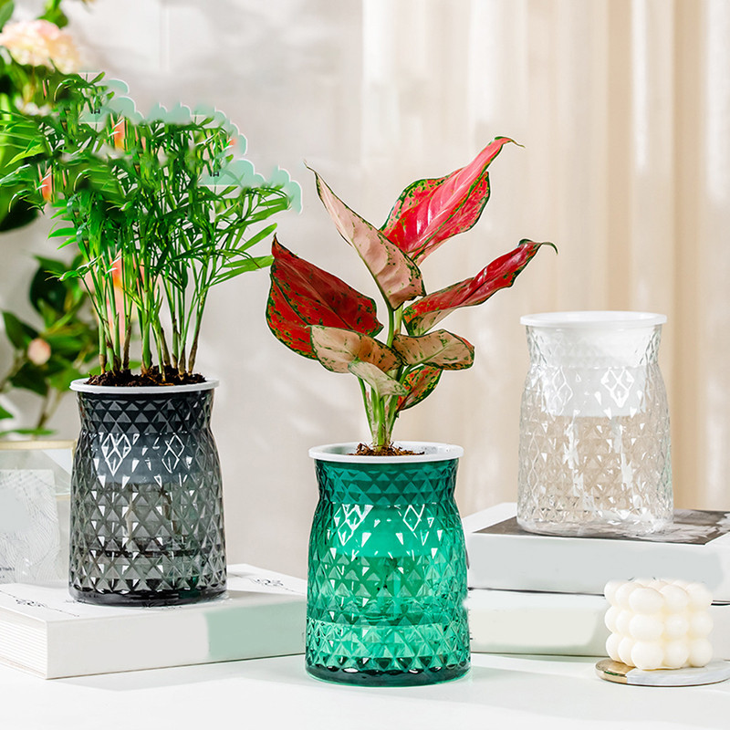 Lusta önöntöző virágcserép automatikus vízfelvevő zamatos akvakultúra átlátszó kerek műanyag hidroponikus virágcserép