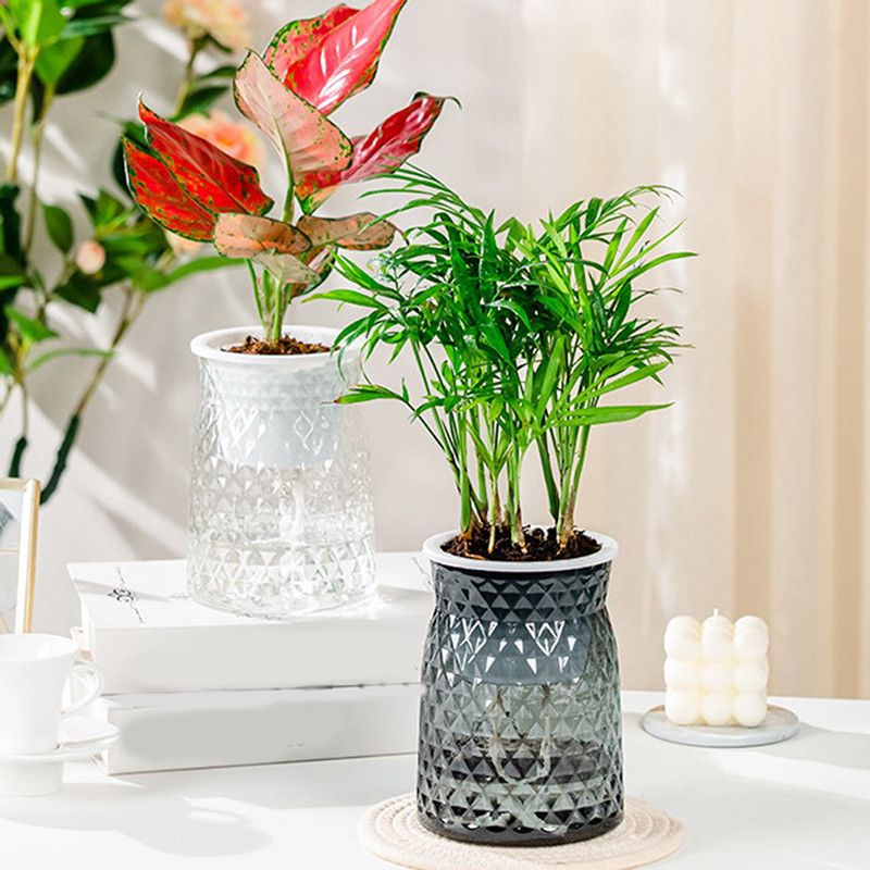 Lusta önöntöző virágcserép automatikus vízfelvevő zamatos akvakultúra átlátszó kerek műanyag hidroponikus virágcserép