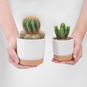 Μεγάλο/μικρό Succulent Planter Pot Imitation Ceramic Plastic Flower Cylinder Flower Pots Κάκτος με τρύπα αποστράγγισης Γλάστρες φυτό