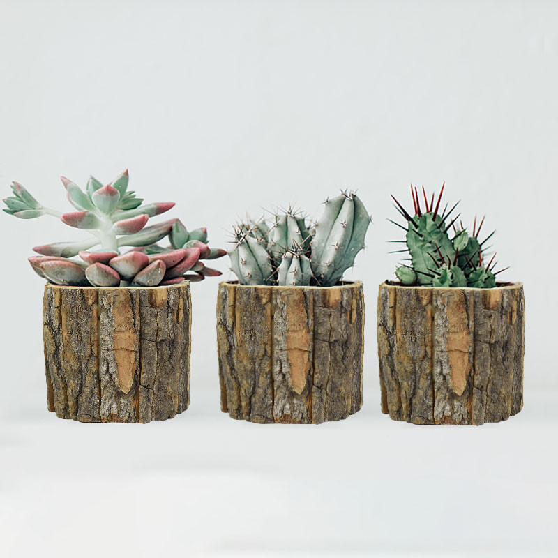 1db aranyos mini fából készült virágcserép zöld növények kis bonsai cserepek otthoni asztali asztali dekorációhoz rusztikus esküvői ünnepi dekorációhoz