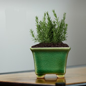 2023 Yixing Lila homokos virágcserép négyzet alakú mini bonsai cserép kínai stílusú repedezett kerámia mázas virágcserép otthoni dekoráció 1 DB LE801