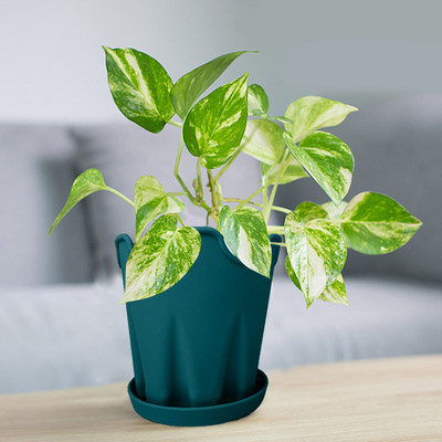 Egyszerű szilikon virágcserép Kreatív asztali kerek irodai dekorációs díszek virágcserép ültető tálcával Orchidea Kert cserepes