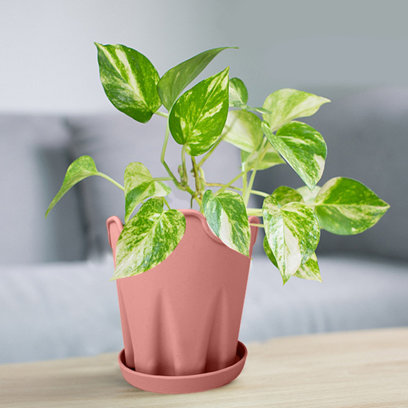 Egyszerű szilikon virágcserép Kreatív asztali kerek irodai dekorációs díszek virágcserép ültető tálcával Orchidea Kert cserepes