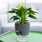 Műanyag hidroponikus virágcserép Nordic Egyszerű önöntöző virágcserép, sűrített zöld retek virágcserepek Otthoni virágtartó dekoráció