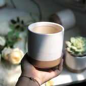 Zamatos növénycserép Kétrétegű zamatos zöld kapor kerek, kétrétegű kis zöld növény virágcserép Zamatos kis virágcserép