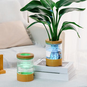 Kreatív, átlátszó hidroponikus ültetőgépek fedéllel, nagy kapacitású szaporítóterrárium otthoni irodai tanulmányi dekorációhoz