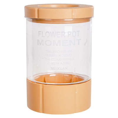 Kreatív, átlátszó hidroponikus ültetőgépek fedéllel, nagy kapacitású szaporítóterrárium otthoni irodai tanulmányi dekorációhoz