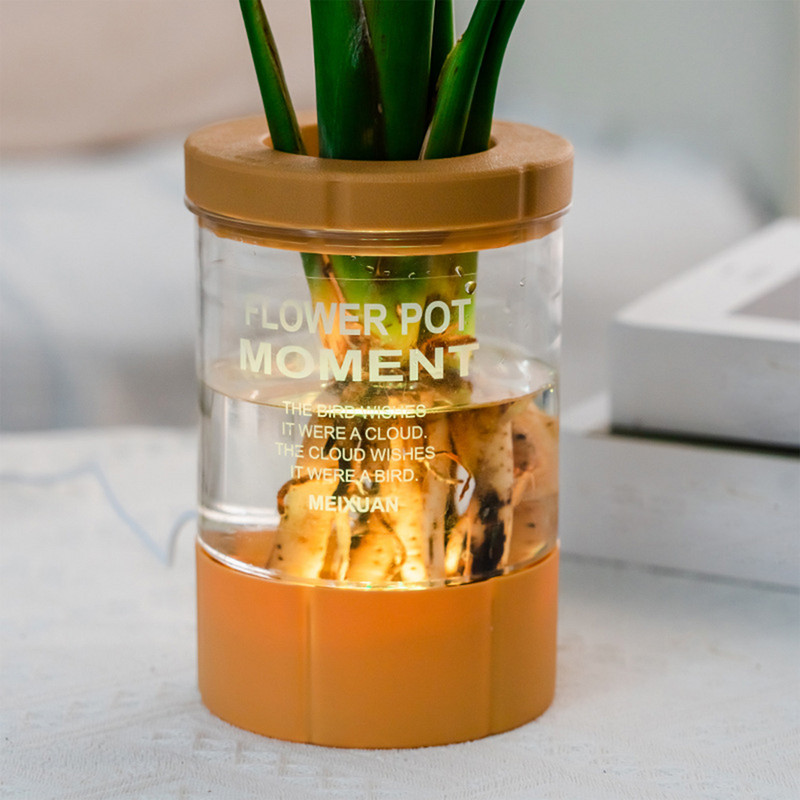 Kreatív, átlátszó hidroponikus ültetőgépek fedéllel, nagy kapacitású szaporítóterrárium otthoni irodai tanulmányi dekorációhoz