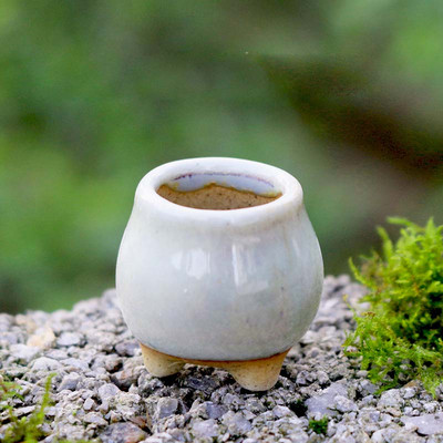 Mini stílusú durva kerámia húsos hüvelykujj-medence Jingdezhen eredeti virágos mázas kerámia, légáteresztő asztali kis virágcserepZC532