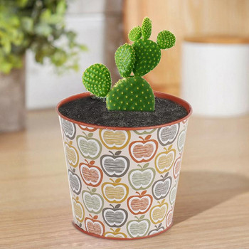 Αξιολάτρευτο Cactus Planter Small Cartoon Picture Flower Planter Pot Μεταλλικό Ανοιξιάτικο Κήπο Καλοκαιρινή διακόσμηση Κάκτο γλάστρα για μικρό