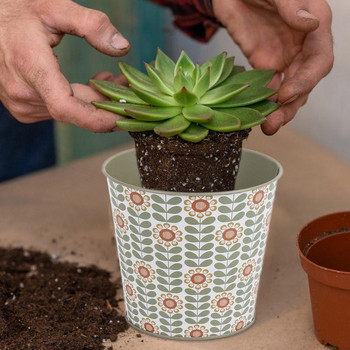Αξιολάτρευτο Cactus Planter Συμπαγείς μοτίβα κινουμένων σχεδίων Χυμώδες φυτευτή Μεταλλικό επιτραπέζιο χώρο αποθήκευσης κουβά Γλαστράκια Δώρα για