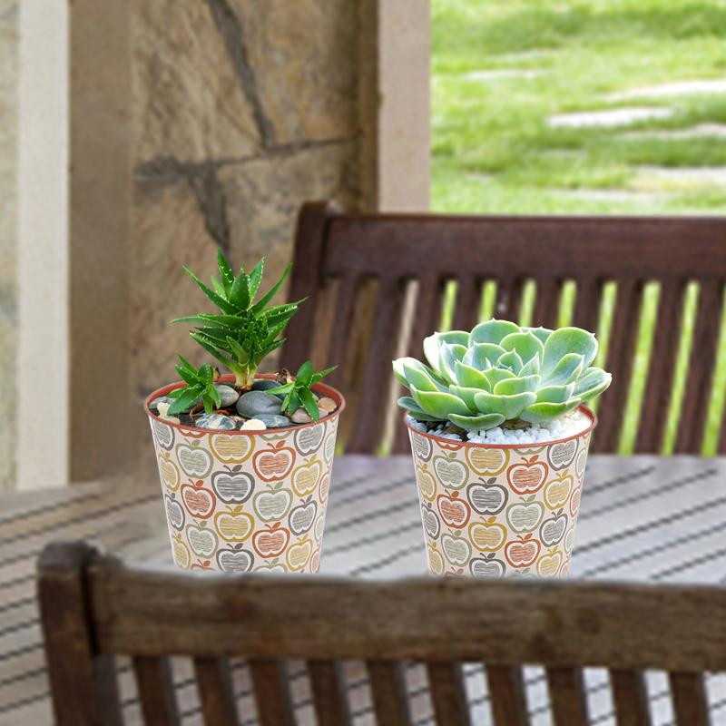 Imádnivaló kaktuszültető kompakt rajzfilm minták zamatos ültetőgép fém asztali tároló vödör tartó virágcserepek ajándékok