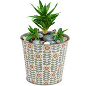 Imádnivaló kaktuszültető mini rajzfilm minták zamatos ültető edény fém tavaszi kert nyári dekorációs kaktusz edény kicsiknek