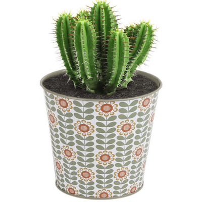 Imádnivaló kaktuszültető mini rajzfilm minták zamatos ültető edény fém tavaszi kert nyári dekorációs kaktusz edény kicsiknek