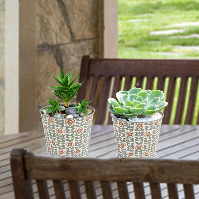 Imádnivaló kaktuszültető mini rajzfilm minták zamatos ültető edény fém tavaszi kert nyári dekorációs kaktusz edény kicsiknek