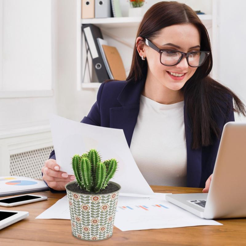 Imádnivaló kaktuszültető mini rajzfilm minták zamatos ültető edény fém tavaszi kert nyári dekorációs kaktusz edény kicsiknek