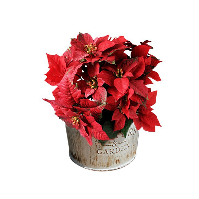 2X Country Retro régi fém virág vödör virág fém kézműves vas vödör kis virágcserép