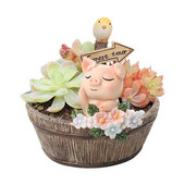 Zamatos gyantaültetvények virágkosarak és cserepek gyantafigurákkal Aranyos mini díszek és növénytartók asztalra