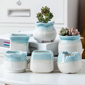 Koreai, szép tojás formájú, folyékony mázas kerámia zamatos virágcserép egyszerű asztali zöld növény, kerek medence otthoni kreatív kertészkedés