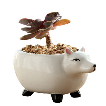 Γελοιογραφία Rhinoceros Dog Sheep Fox Meat κεραμική γλάστρα Creative Meat Plant Προσωποποιημένη διακόσμηση Μικρά στολίδια