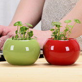 1db kerámia paradicsom hidroponikus kis virágcserép nem lyukas virágcserép zöld növény konténer asztali dekoráció