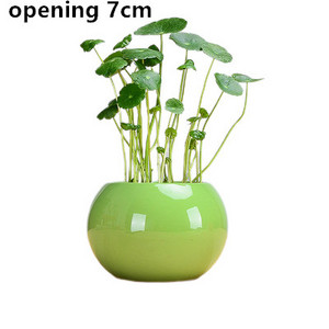 1db kerámia paradicsom hidroponikus kis virágcserép nem lyukas virágcserép zöld növény konténer asztali dekoráció